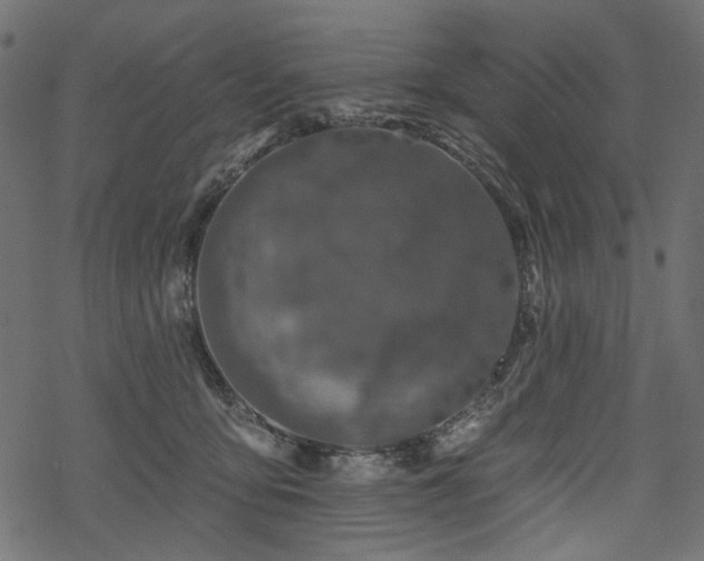 X0000068890419200605081324