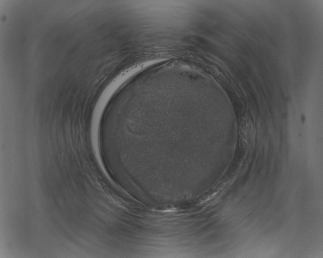 X0000068890420200605081324