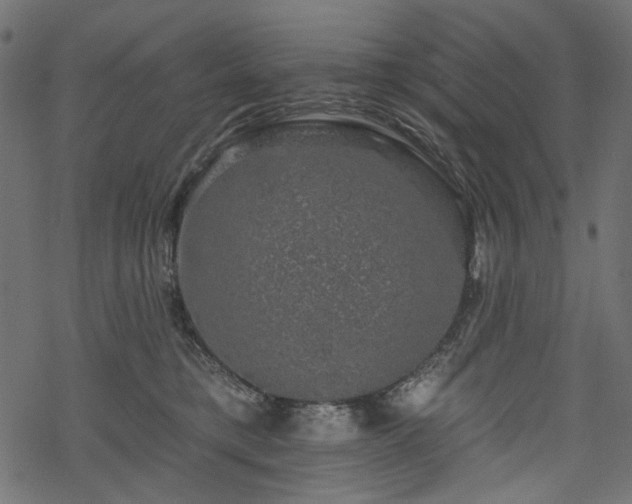 X0000068890421200605081324