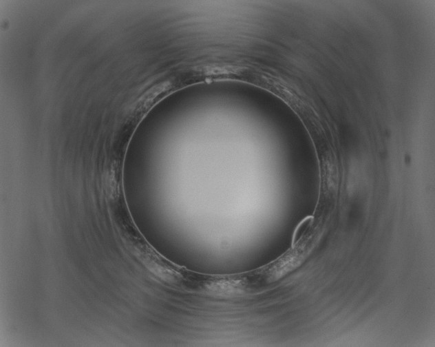 X0000068890422200605081324