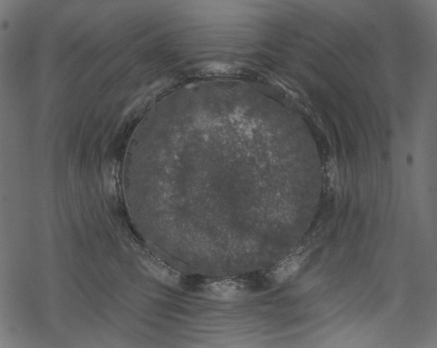 X0000068890423200605081324