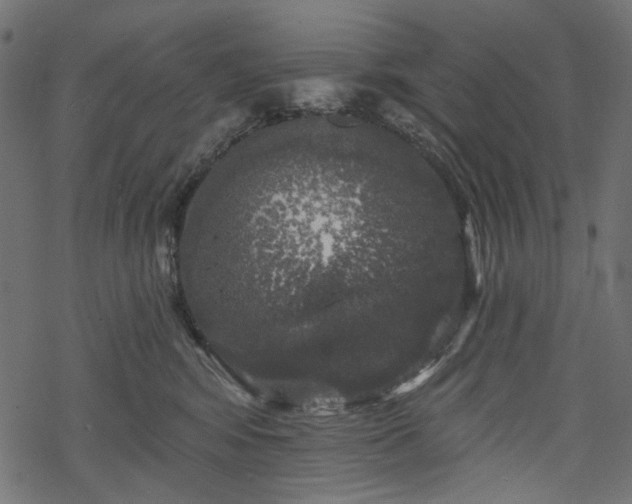 X0000068890424200605081324