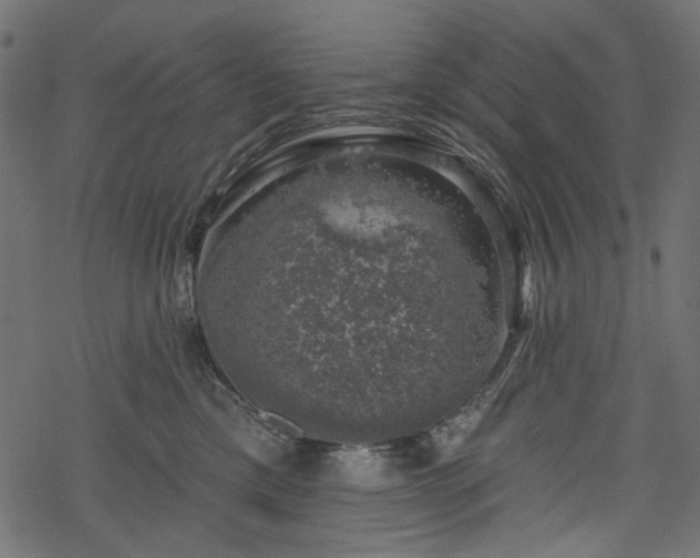 X0000068890425200605081324