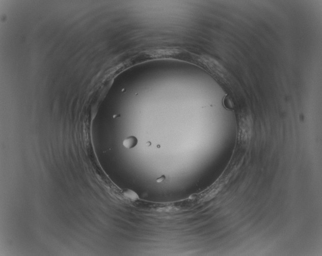 X0000068890426200605081324