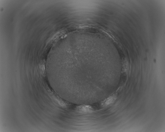 X0000068890427200605081324