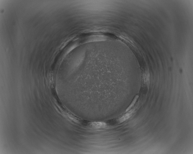 X0000068890429200605081324