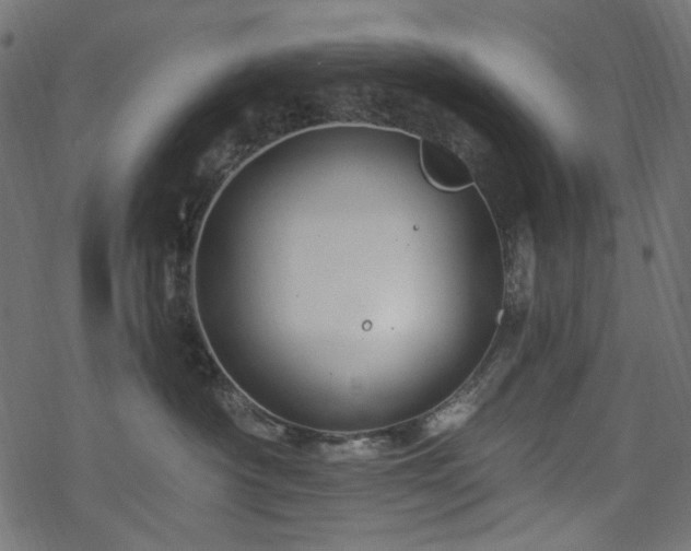 X0000068890430200605081324