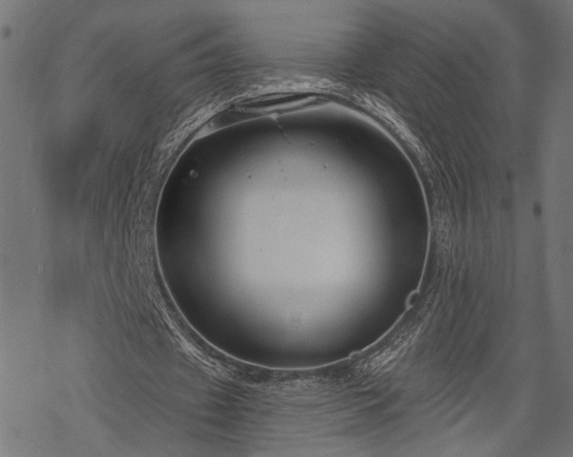 X0000068890433200605081323