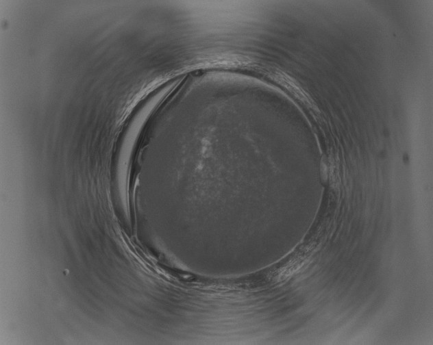 X0000068890434200605081323