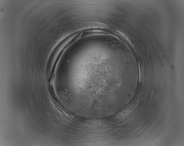 X0000068890435200605081323