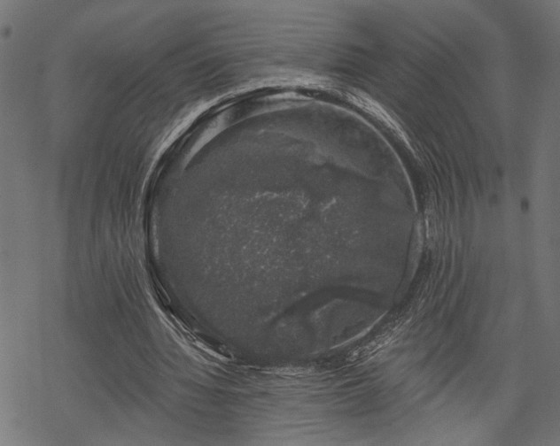 X0000068890436200605081324