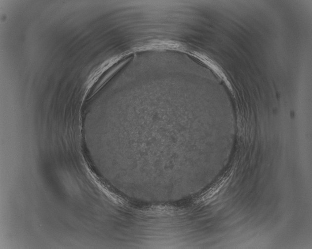 X0000068890437200605081324