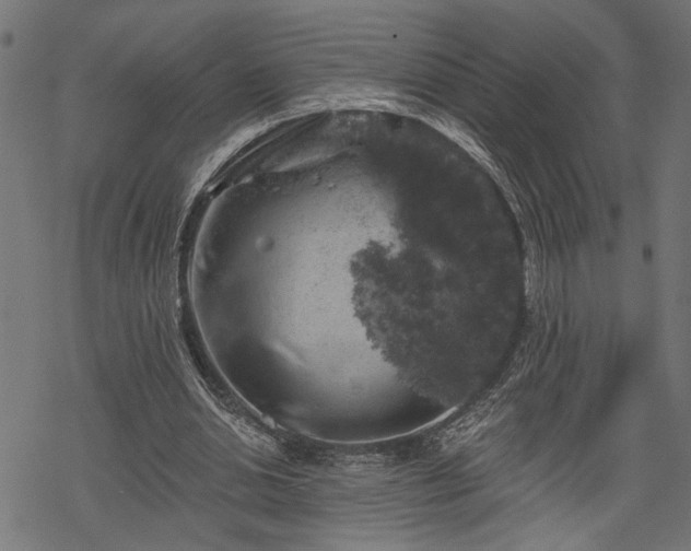 X0000068890438200605081324