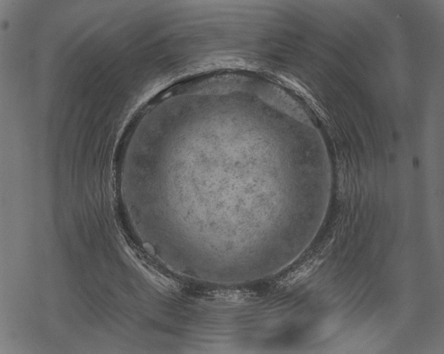 X0000068890439200605081324