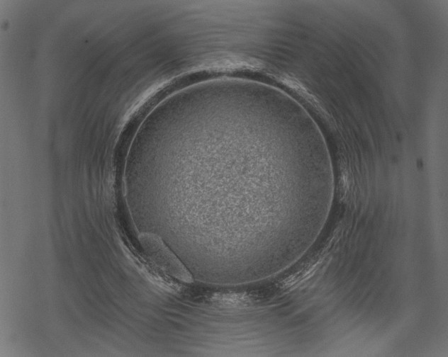 X0000068890440200605081324