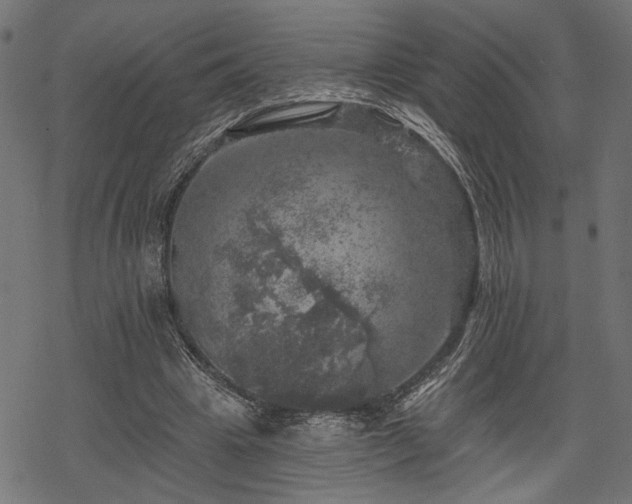 X0000068890441200605081324