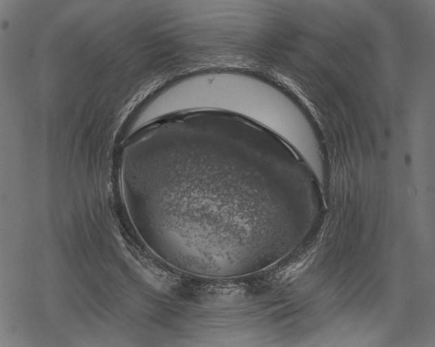 X0000068890443200605081324