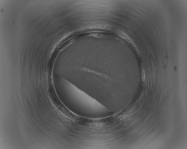 X0000068890444200605081324