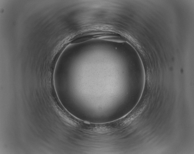 X0000068890445200605081324