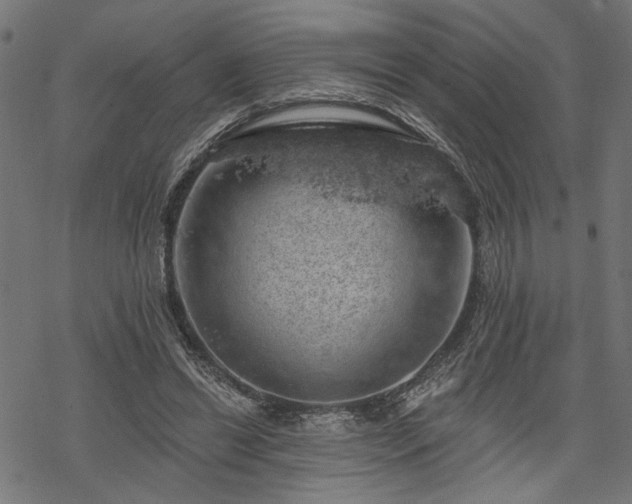 X0000068890446200605081324