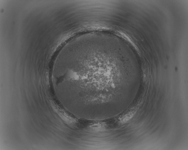 X0000068890447200605081324