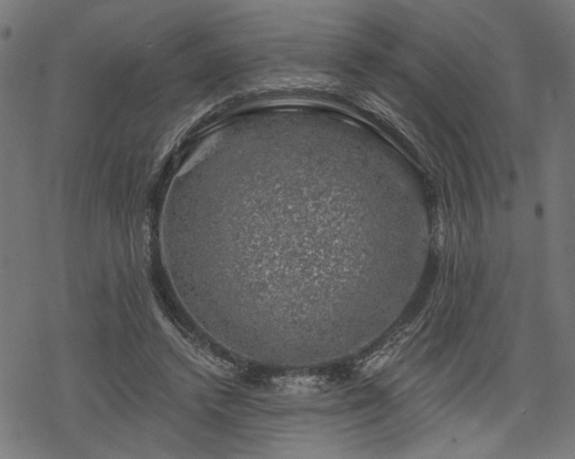 X0000068890448200605081324