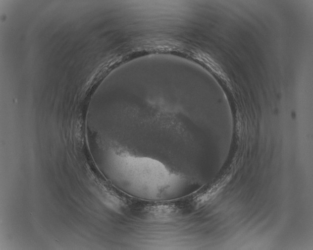 X0000068890449200605081324