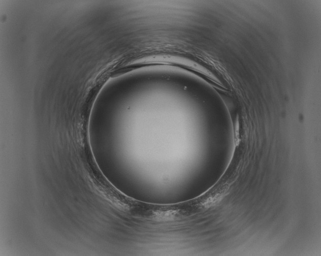 X0000068890450200605081324