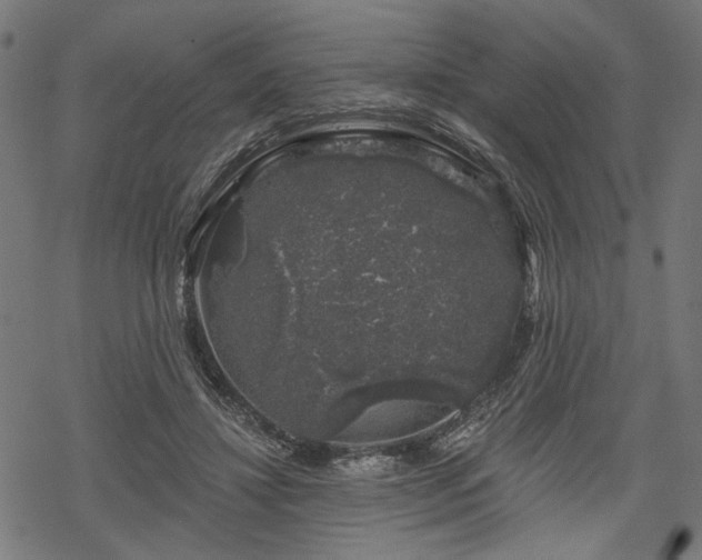 X0000068890452200605081324