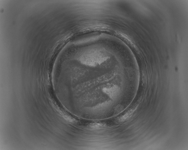 X0000068890453200605081324