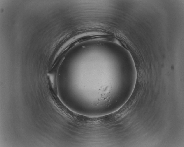 X0000068890454200605081324