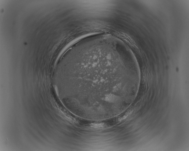 X0000068890457200605081324