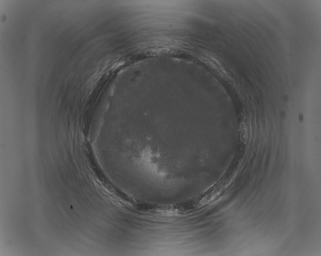 X0000068890458200605081324