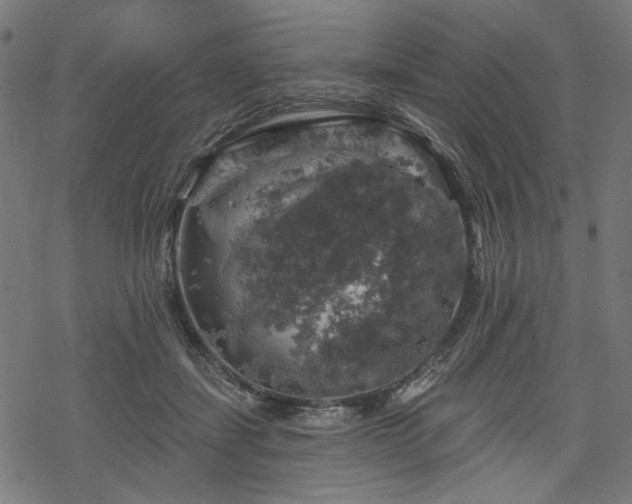 X0000068890459200605081324