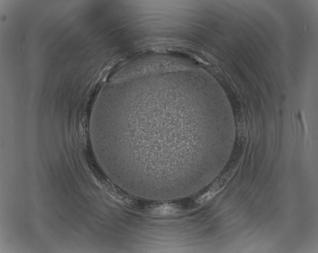 X0000068890460200605081324