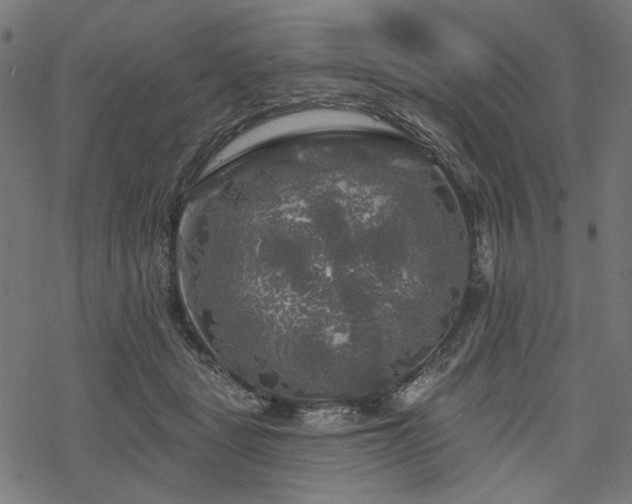 X0000068890461200605081324