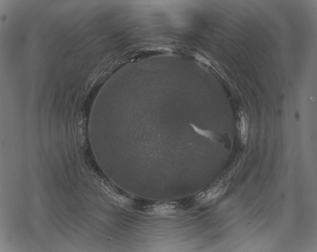 X0000068890462200605081324