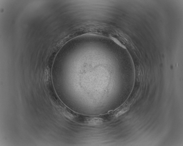 X0000068890463200605081324