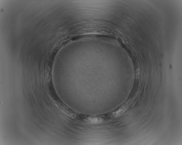 X0000068890464200605081324