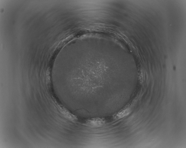 X0000068890466200605081324