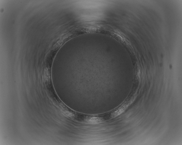 X0000068890467200605081324