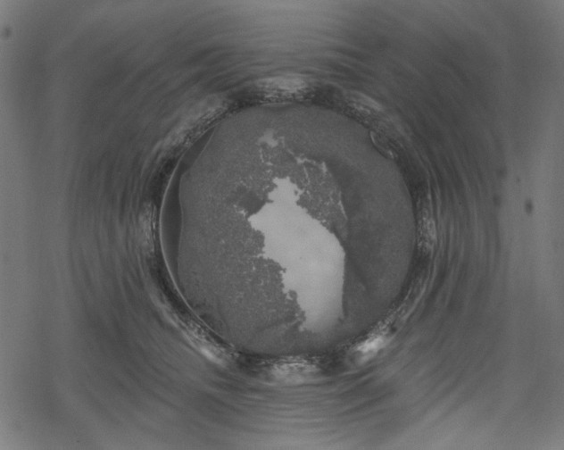 X0000068890468200605081324