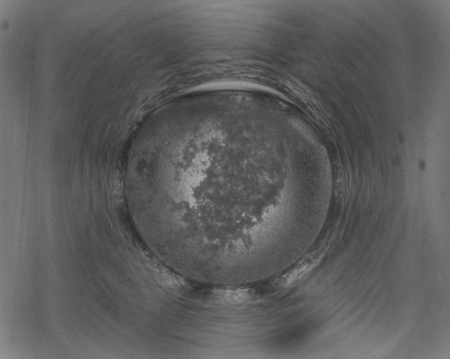 X0000068890469200605081324