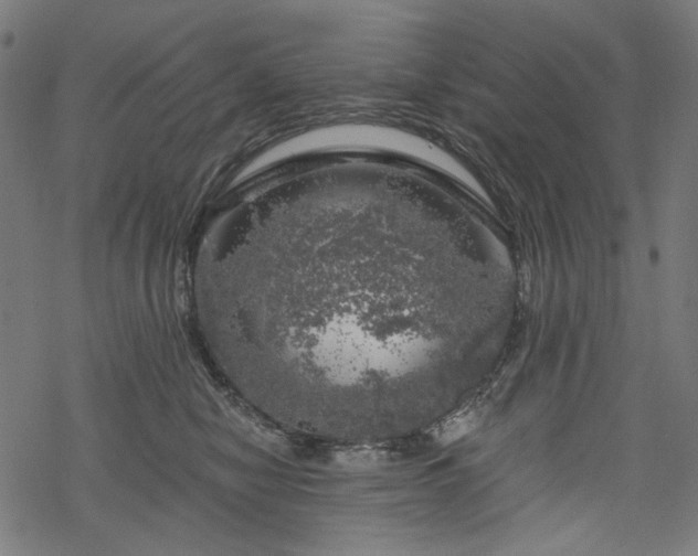 X0000068890470200605081324