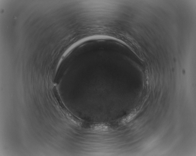 X0000068890471200605081324