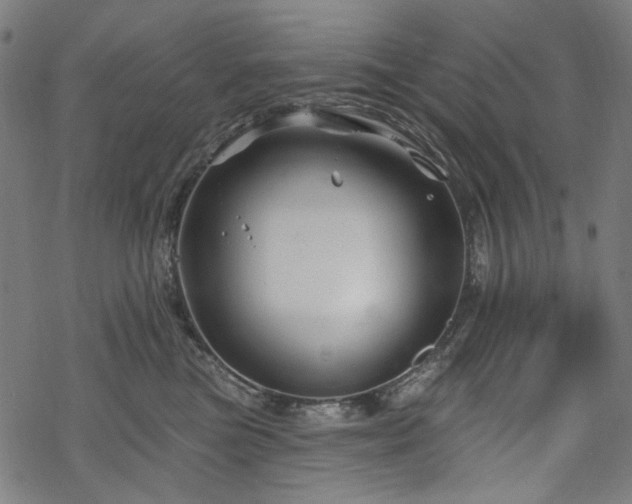 X0000068890473200605081324