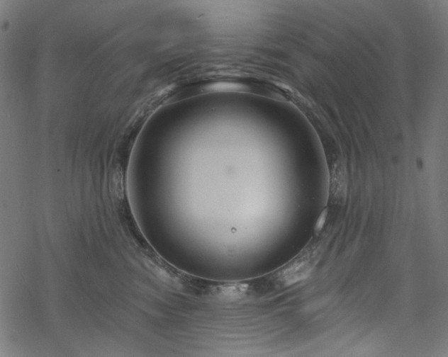 X0000068890474200605081324