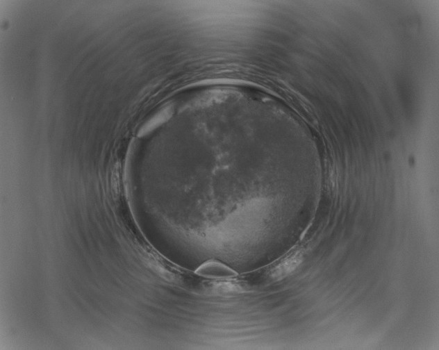 X0000068890475200605081324