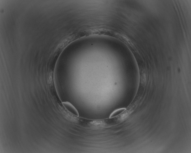 X0000068890477200605081324