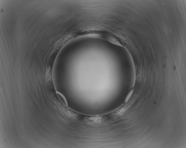 X0000068890478200605081324